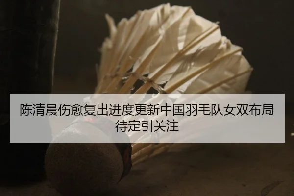 陈清晨伤愈复出进度更新中国羽毛队女双布局待定引关注