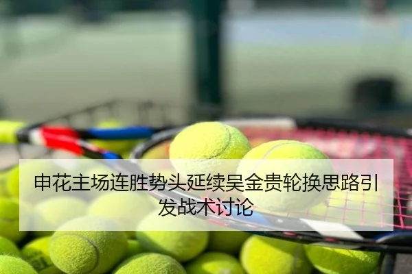 申花主场连胜势头延续吴金贵轮换思路引发战术讨论